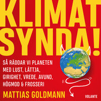 Klimatsynda! : Så räddar vi planeten med lust, lättja, girighet, vrede, avund, högmod & frosseri - Mattias Goldmann