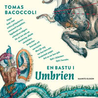 En bastu i Umbrien - Tomas Bacoccoli