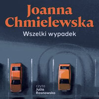 Wszelki wypadek - Joanna Chmielewska