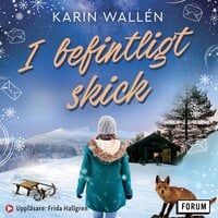 I befintligt skick - Karin Wallén