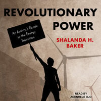 Revolutionary Power: An Activist's Guide to the Energy Transition