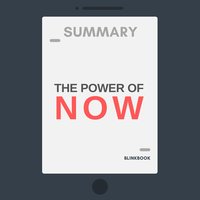 Summary: The Power of Now - R John