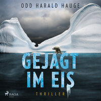 Gejagt im Eis - Thriller - Odd Harald Hauge