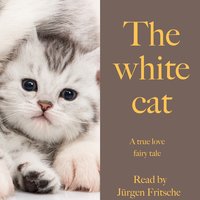 The white cat