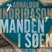 Manden i søen - Arnaldur Indriðason