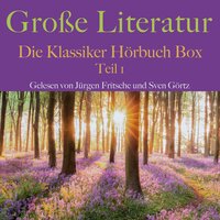 Große Literatur: Die Klassiker Hörbuch Box - E.T.A Hoffmann, Theodor Storm, Edgar Allan]READ_BY Poe