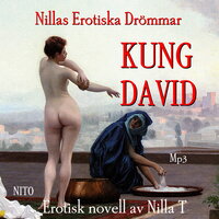 Kung David : Nillas Erotiska Drömmar - Nilla T