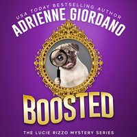 Boosted: A Funny Romantic Mystery - Adrienne Giordano