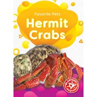 Hermit Crabs - Christina Leaf