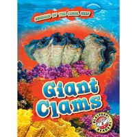 Giant Clams - Kate Moening
