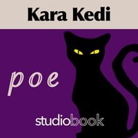 Kara Kedi - Edgar Allan Poe