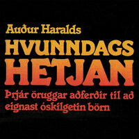 Hvunndagshetjan - Auður Haralds