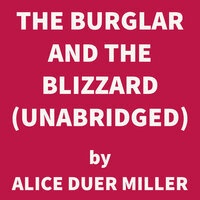 The Burglar and the Blizzard - Alice Duer Miller