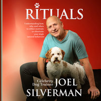 Rituals - Joel Silverman