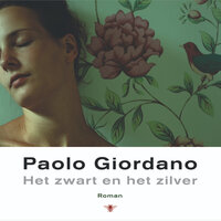 Het zwart en het zilver - Paolo Giordano