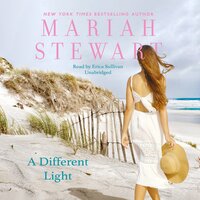 A Different Light - Mariah Stewart