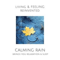 Calming Rain: Brings You Relaxation and Sleep