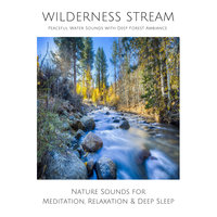 Wilderness Stream - Peaceful Water Sounds with Deep Forest Ambience