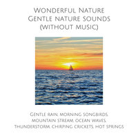 Wonderful Nature: Gentle nature sounds (without music): Calming rain, morning songbirds, mountain stream, ocean waves, thunderstorm, chirping crickets, hot springs - Yella A. Deeken
