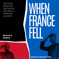When France Fell: The Vichy Crisis and the Fate of the Anglo-American Alliance - Michael S Neiberg