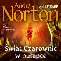 Świat Czarownic w pułapce - Andre Norton