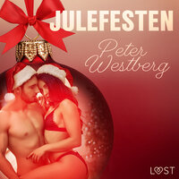 5. december: Julefesten – en erotisk julekalender - Peter Westberg