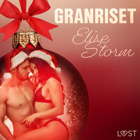 4. december: Granriset – en erotisk julekalender - Elise Storm