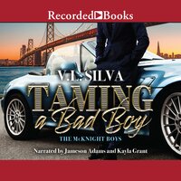 Taming a Bad Boy - V.L. Silva