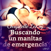 Buscando un manitas de emergencia - un relato corto erótico - Chrystelle Leroy