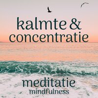 Kalmte en Concentratie: Mindfulness Meditatie - Suzan van der Goes