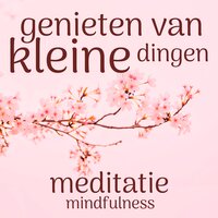 Genieten van de Kleine Dingen: Mindfulness Meditatie - Suzan van der Goes