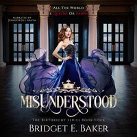 misUnderstood - Bridget E. Baker