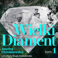 Wielki diament. Tom 1 - Joanna Chmielewska