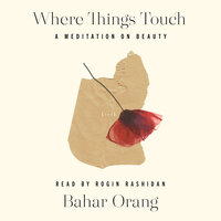 Where Things Touch: A Meditation on Beauty - Bahar Orang