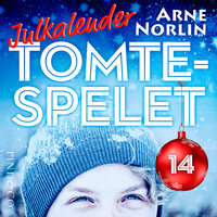 Tomtespelet: Julkalender för barn. Lucka 14 - Arne Norlin