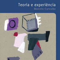 Teoria e experiência - Marcelo Carvalho