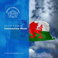 Intermediate Welsh - Centre of Excellence