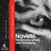 Die Novelle / Ferdinands Schuld und Wandlung - Johann W von Goethe