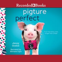 Pigture Perfect: A Wish Novel - Jenny Goebel