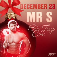 December 23: Mr S – An Erotic Christmas Calendar - Sir Jay Cox