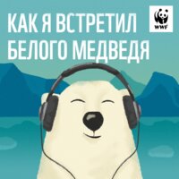 Михаил Стишов: "У меня тут небольшая проблема...медведь в окно пытается залезть..." - WWF Russia