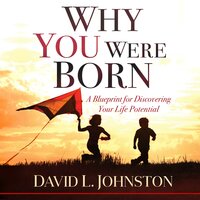 Why You Were Born: A Blueprint for Discovering Your Life Potential - David L Johnston