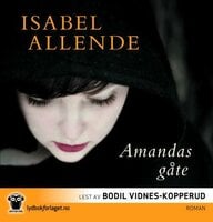 Amandas gåte - Isabel Allende