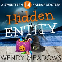 Hidden Entity - Wendy Meadows