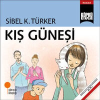 Kış Güneşi - Sibel K. Türker