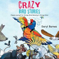 Crazy Bird Stories - Daryl Barnes