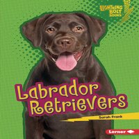 Labrador Retrievers - Sarah Frank