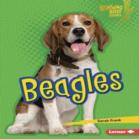Beagles - Sarah Frank