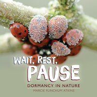 Wait, Rest, Pause: Dormancy in Nature - Marcie Flinchum Atkins
