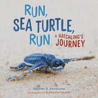 Run, Sea Turtle, Run: A Hatchling's Journey - Stephen R. Swinburne